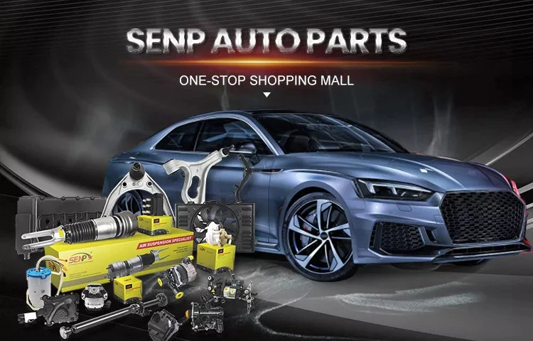 SENP Car Parts Shock Absorber Wholesale Auto Spare Parts Air Suspension Strut Shock Auto Parts Audi VW BMW Mercedes Porsche
