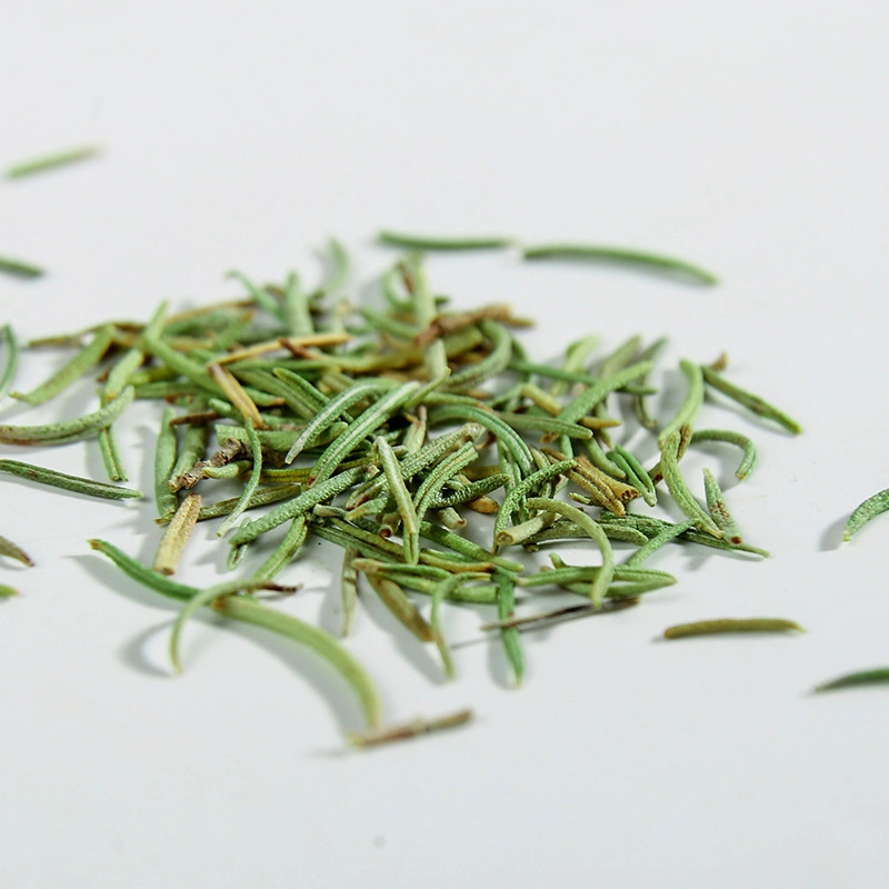 Wholesale Chinese Natural Herbs and Spices Dried Rosemary Leaves