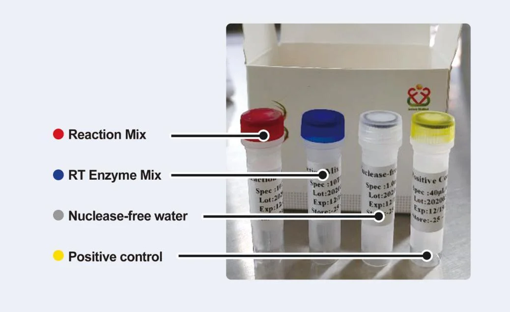 Nucleic Acid Detection Kit (PCR-fluorescent Probe) Rt PCR Kit