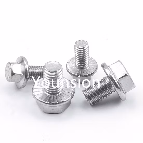 Stainless Steel SS304 SS316 DIN 912/Hex Socket Head/Carriage Bolt DIN603/Flange Bolt DIN6921/ T Hammer Bolt/ Eye Bolt DIN444 / U Bolt / Thread Allen Bolt