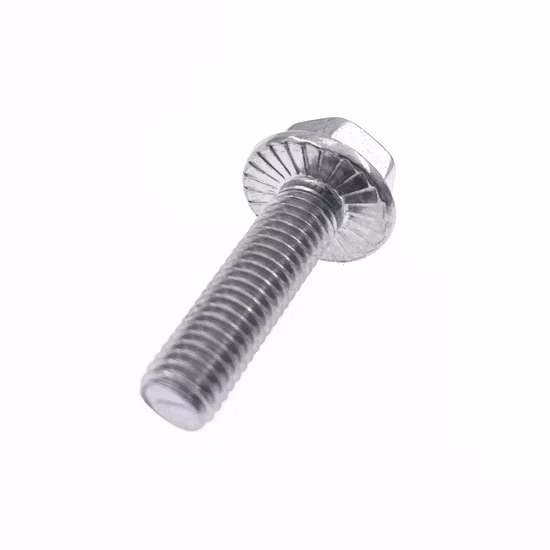 Stainless Steel Hex Bolt/Carriage Bolt/Anchor Bolt/Flange Bolt/T Bolt/Square Head Bolt/Hex Socket Cap Screw/Square Bolt/Wing Bolt/Eye Bolt/Knurled Bolt/U Bolt